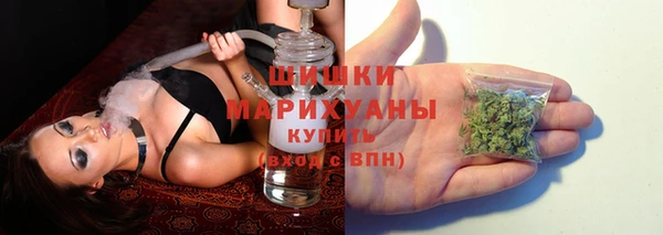 гидра Беломорск