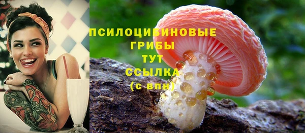 гидра Беломорск