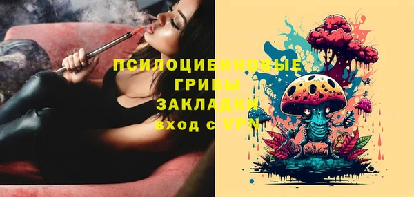 ПСИЛОЦИБИНОВЫЕ ГРИБЫ Белоозёрский