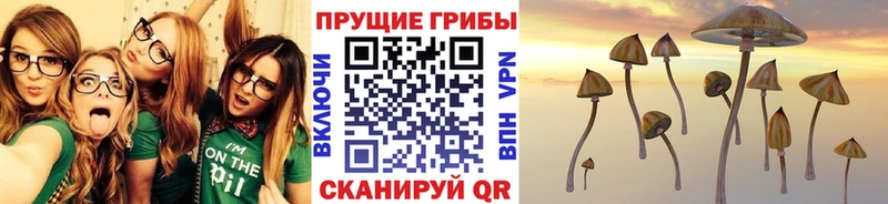 купить   Сердобск  Галлюциногенные грибы ЛСД 
